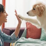 pet sitting in Huntington NY